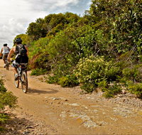 Mountain Biking Trails - Accommodation in Brisbane