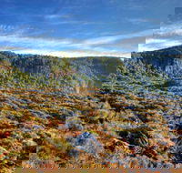 New England National Park - Accommodation in Brisbane