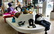 North East Artisans - thumb 0