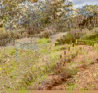 Old Mountain Road Walking Track - Accommodation in Brisbane