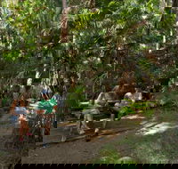 Palms picnic area - Accommodation in Brisbane