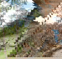 Pilliga National Park - Accommodation in Brisbane