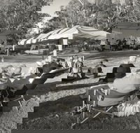 Pioneer Park - Accommodation in Brisbane