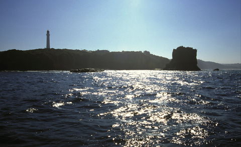 Point Addis Marine National Park - Accommodation in Brisbane 2
