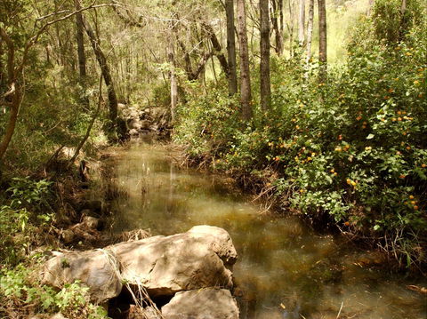 Sandy Creek Track - Accommodation in Brisbane 0