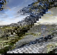 Snow Gums boardwalk - Accommodation in Brisbane