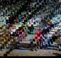 State Forests of the Watagan Mountains - Accommodation in Brisbane