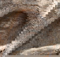 The Face Tree near Burke and Wills Dig Tree - Accommodation in Brisbane