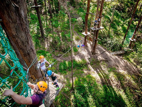 TreeTop Challenge Currumbin Wildlife Sanctuary - Accommodation in Brisbane 2