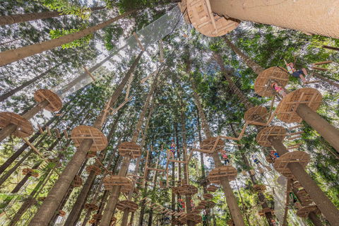 TreeTops Sydney The Hills - Accommodation in Brisbane 1