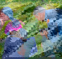 Warrumbungle National Park Discovery Program - Accommodation in Brisbane