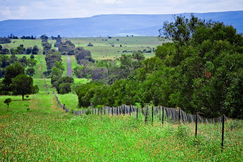 Wild Dog Barrier Fence - Accommodation in Brisbane 0