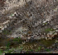 Brisbane Ranges National Park - Accommodation in Brisbane