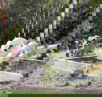 Maroochy Regional Bushland Botanic Garden - Accommodation in Brisbane