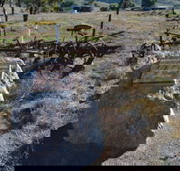 Wangaraleednie Monument  Ruins - Accommodation in Brisbane