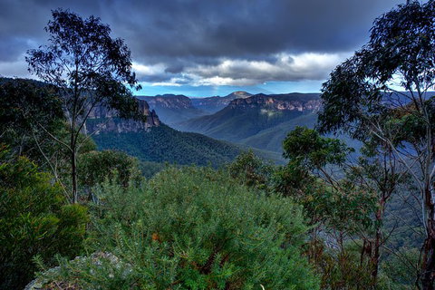 Ultimate Blue Mountains And Wildlife Tour - Accommodation in Brisbane 6