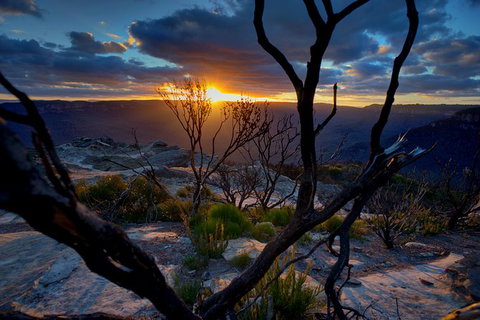 Ultimate Blue Mountains And Wildlife Tour - Accommodation in Brisbane 0