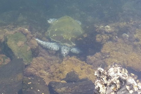 Sawtell To Coffs Harbour Bike Ride - Accommodation in Brisbane 4