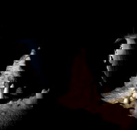 Jenolan Caves Extended Temple of Baal Cave Tour - Accommodation in Brisbane