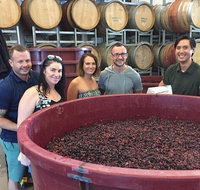 Hunter Valley Small Group Wine Gin Cheese  Chocolate Tour - Accommodation in Brisbane