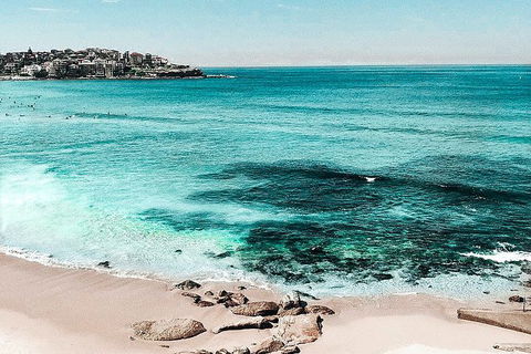 Sydney Sightseeing Tour In A Luxury Mercedes-Benz People Mover - Accommodation in Brisbane 2