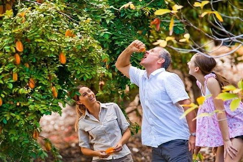 Full-Day Guided Tour Byron Bay With Pickup - Accommodation in Brisbane 1