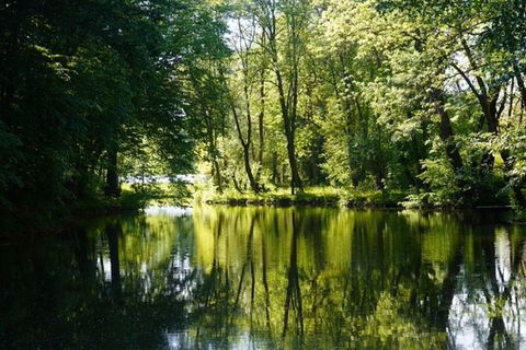 Small-Group Kayaking Experience In Sydney - Accommodation in Brisbane 7