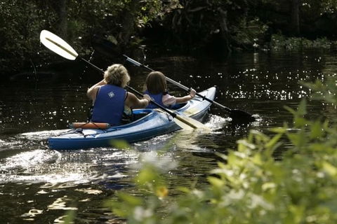 Small-Group Kayaking Experience In Sydney - Accommodation in Brisbane 1