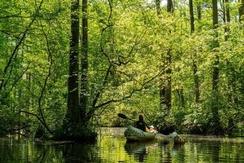 Small-Group Kayaking Experience In Sydney - Accommodation in Brisbane 3