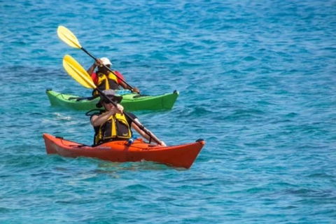 Small-Group Kayaking Experience In Sydney - Accommodation in Brisbane 0