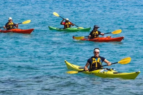 Small-Group Kayaking Experience In Sydney - Accommodation in Brisbane 6