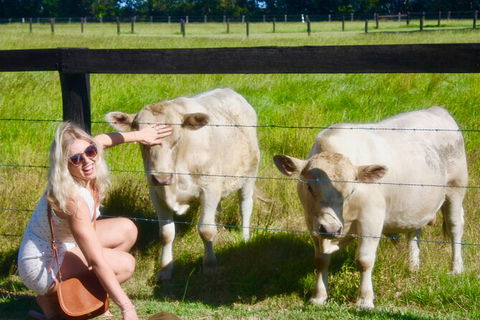 Hipster Sipster Brewery & Distillery Tour - Northern NSW - Accommodation in Brisbane 8