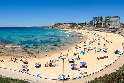 Newcastle Scenic Explorer - 2 Hour Tour By Minibus - Accommodation in Brisbane 16