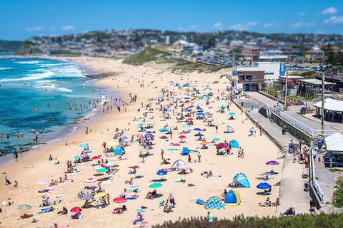 Newcastle Scenic Explorer - 2 Hour Tour By Minibus - Accommodation in Brisbane 6