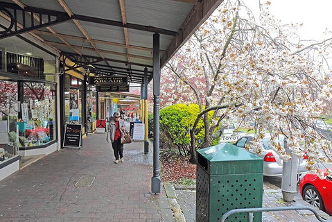 Blue Mountains Highlights, Wildlife Park And Scenic World Full Day Private Tour - Accommodation in Brisbane 2