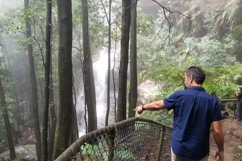 Blue Mountains Highlights, Wildlife Park And Scenic World Full Day Private Tour - Accommodation in Brisbane 6