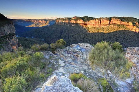 Blue Mountains Highlights, Wildlife Park And Scenic World Full Day Private Tour - Accommodation in Brisbane 4