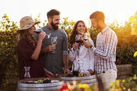 Hunter Valley Highlights Private Wine Tour From Sydney - Accommodation in Brisbane 0