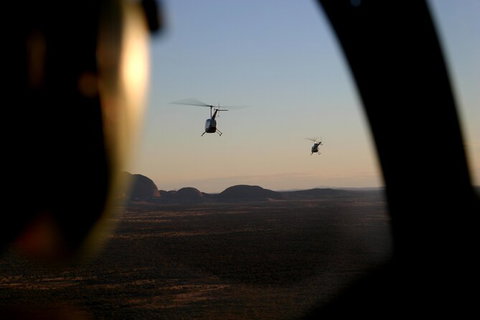 Helicopter Scenic: Lizard Safari - Accommodation in Brisbane 1