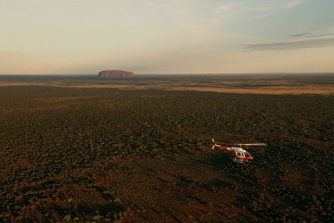 Helicopter Scenic: Lizard Safari - Accommodation in Brisbane 4