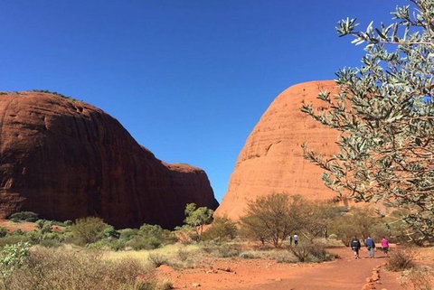 5-Hour Kata Tjuta Sunrise Tour From Ayers Rock With Breakfast - Accommodation in Brisbane 2