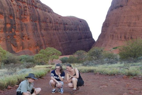 5-Hour Kata Tjuta Sunrise Tour From Ayers Rock With Breakfast - Accommodation in Brisbane 3