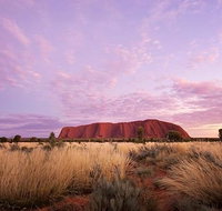Sunset Australian Barbecue Dinner in Uluru - Accommodation in Brisbane