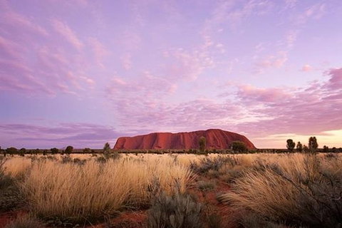 Sunset Australian Barbecue Dinner In Uluru - Accommodation in Brisbane 0