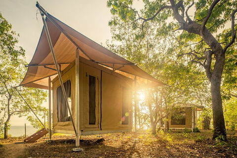 5 Day Kakadu National Park And Arnhem Land Tour - Accommodation in Brisbane 7