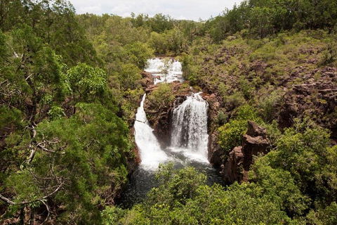 5 Day Kakadu National Park And Arnhem Land Tour - Accommodation in Brisbane 1