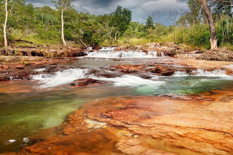 Full-Day Private Guided Tour To Litchfield National Park - Accommodation in Brisbane 14