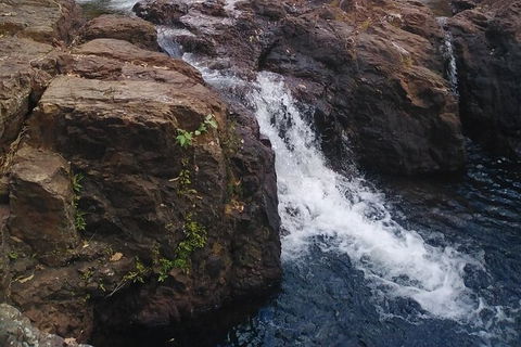 Full-Day Private Guided Tour To Litchfield National Park - Accommodation in Brisbane 8