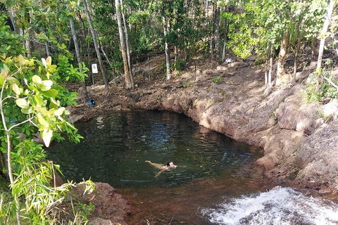 Full-Day Private Guided Tour To Litchfield National Park - Accommodation in Brisbane 18