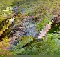 Full-Day Private Guided Tour to Litchfield National Park - Accommodation in Brisbane
